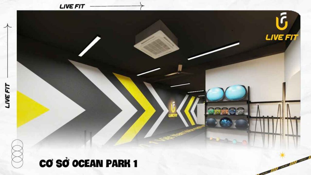 Cơ sở Live Fit Ocean Park