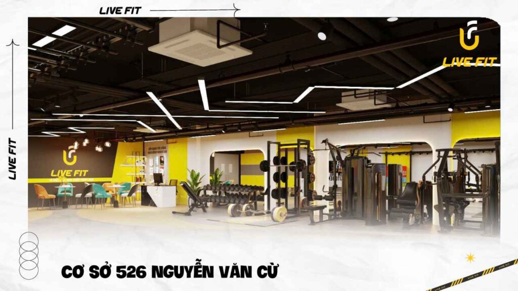 Cơ sở Live Fit 526 Nguyễn Văn Cừ