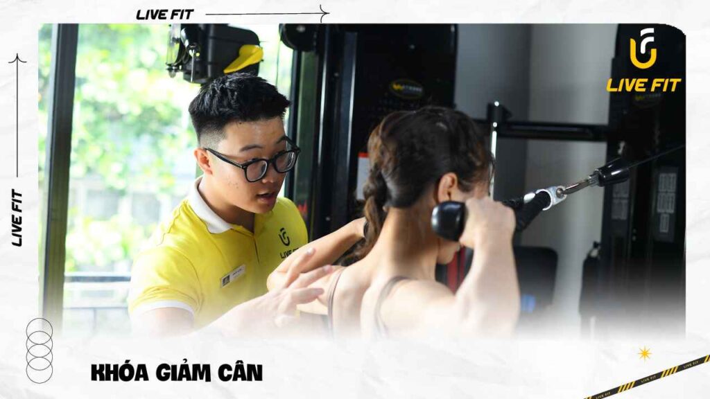 Khóa luyện tập giảm cân cho người béo - Live Fit