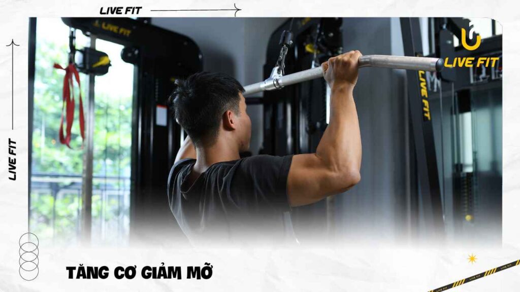 Khóa luyện tập tăng cơ giảm mỡ - Live Fit