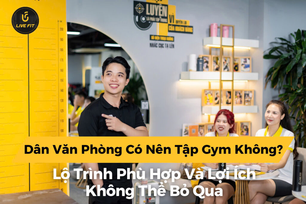 dân văn phòng có nên tập gym không