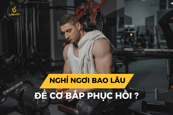 Nghỉ ngơi bao lâu để cơ bắp phục hồi