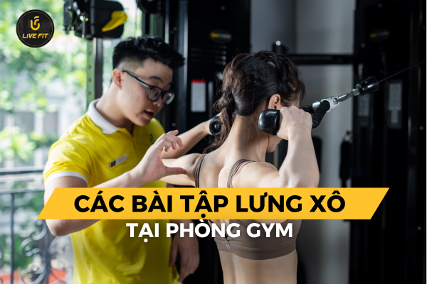 Các bài tập lưng xô