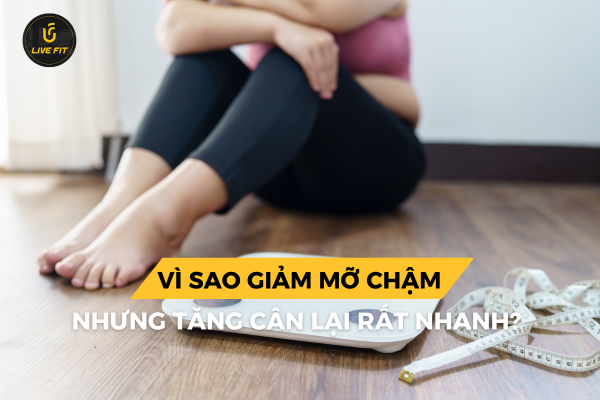 Vì sao giảm mỡ chậm nhưng tăng cân lại rất nhanh?